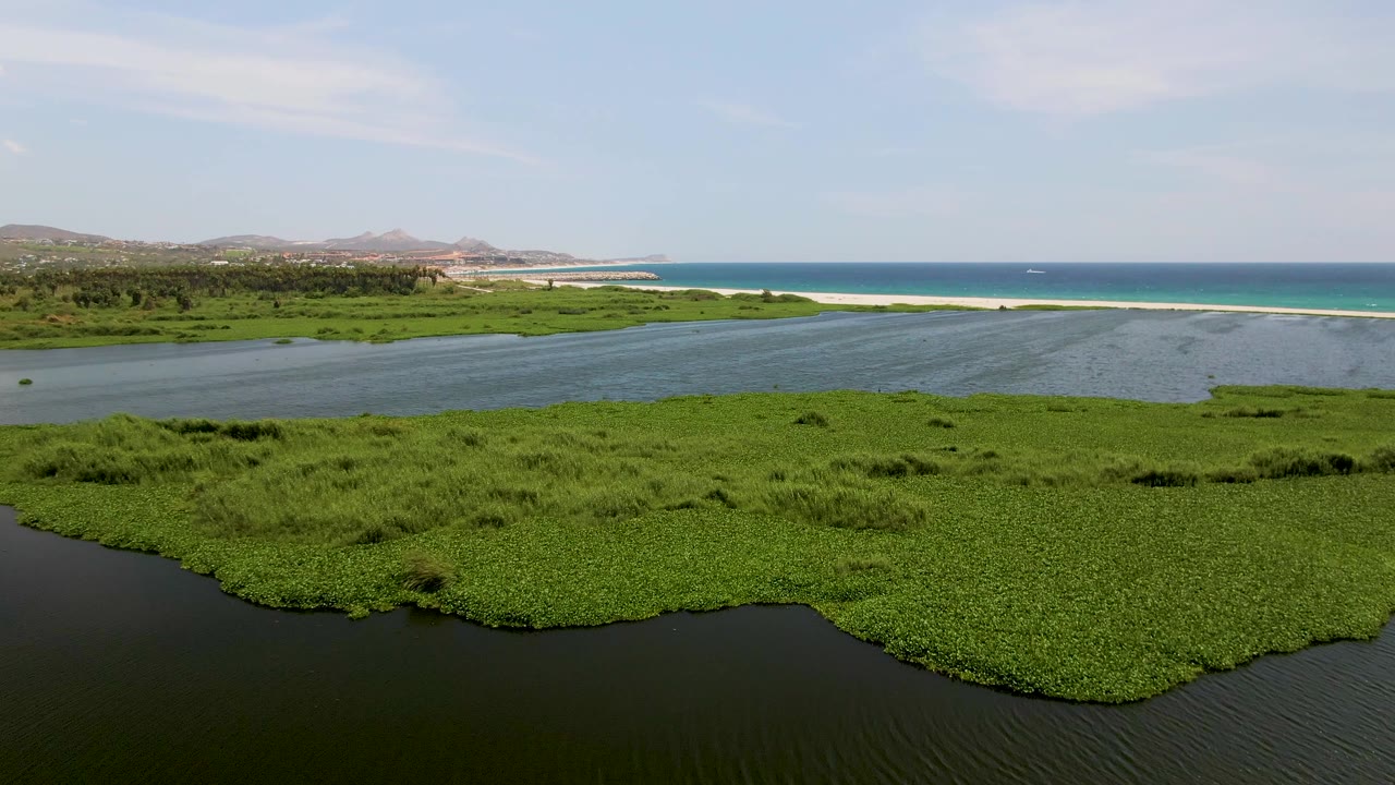 Mid-clip aerial frame over San Jose del Cabo lagoon, with a dark water band at the bottom, a broad mat of green plants across the center, beach and ocean lines beyond, low hills at left, and no visible people.