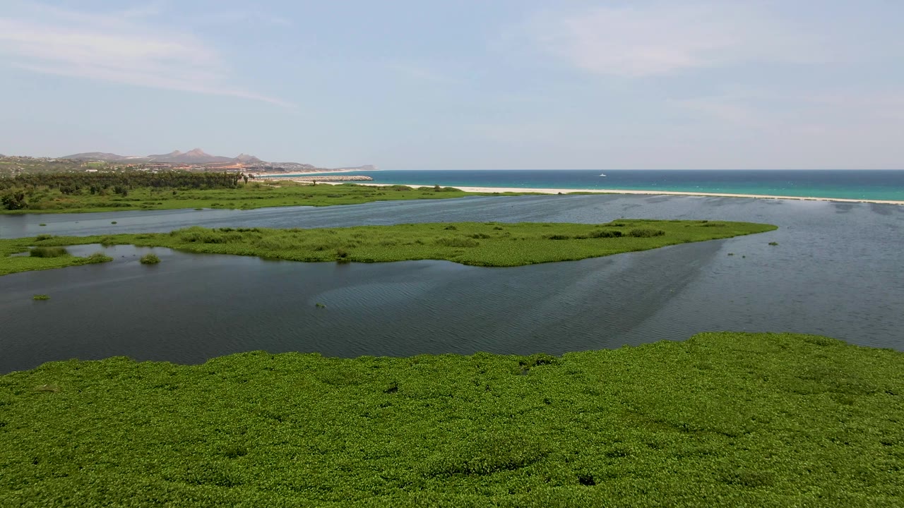Aerial frame over San Jose del Cabo wetland with dense green marsh in front, dark lagoon water through the center, blue ocean beyond, distant hills, pale sky, and no visible people.