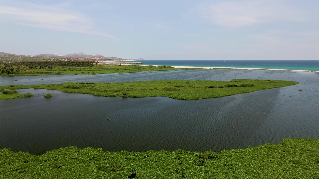 Wide aerial over the San Jose del Cabo coastal wetland with a broad band of green vegetation, dark water in the foreground, blue ocean behind the shoreline, and no visible people.
