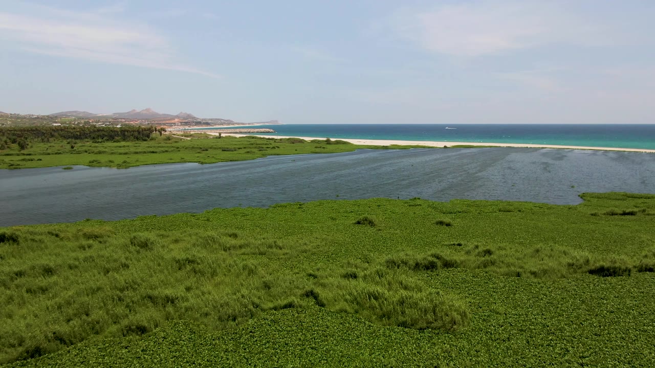 Opening frame of a San Jose del Cabo estuary with dense green marsh in front, dark water across the middle, pale beach, blue ocean, distant hills, and no visible people.