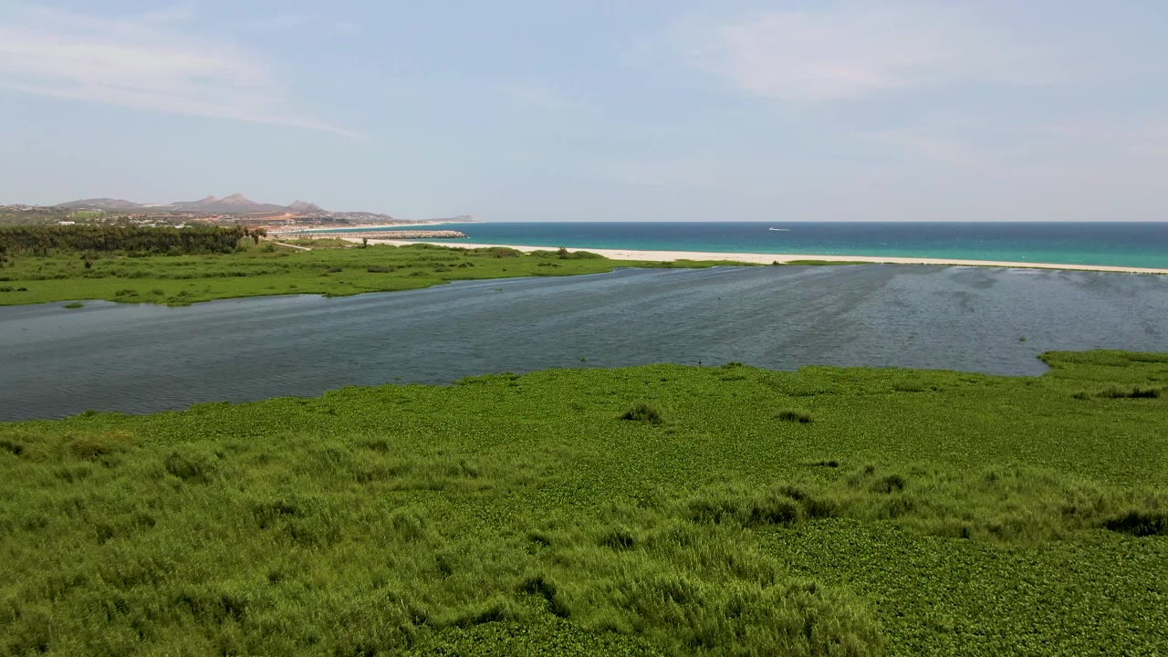 Early runtime frame of the San Jose del Cabo river mouth, with green vegetation in the foreground, rippled estuary water, a narrow sand strip, turquoise ocean, and no visible people.
