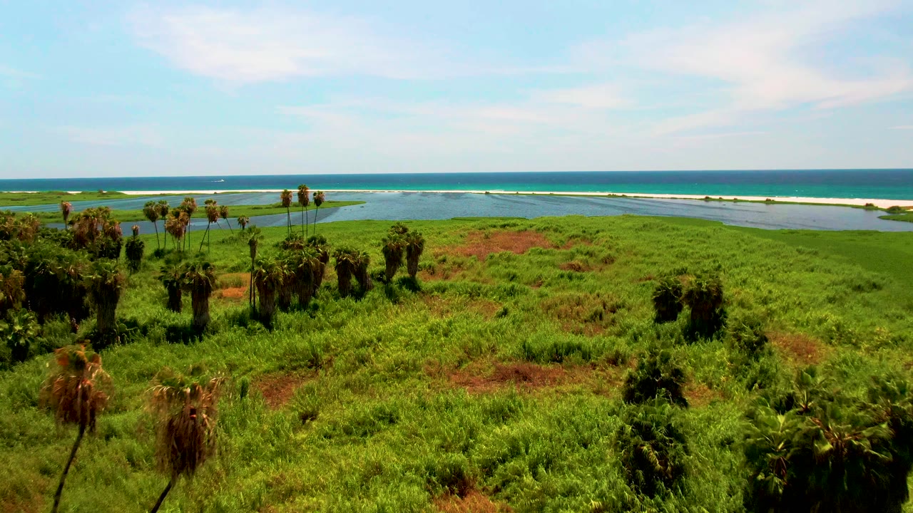 Aerial coastline view with palms at left, green grassland, lagoon water, and ocean.