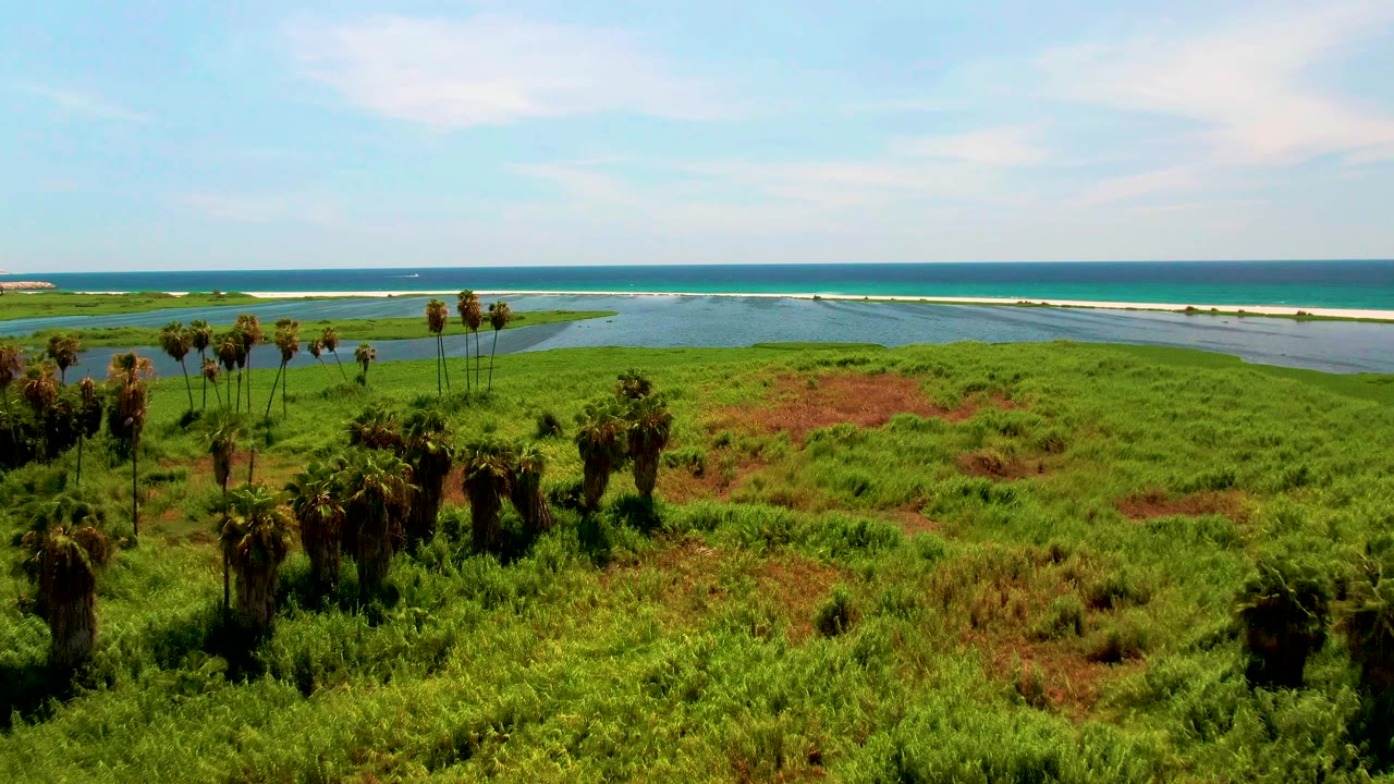 Opening aerial frame over San Jose Del Cabo shows palm clusters in green marshland, a lagoon behind them, ocean on the horizon, and no visible people.