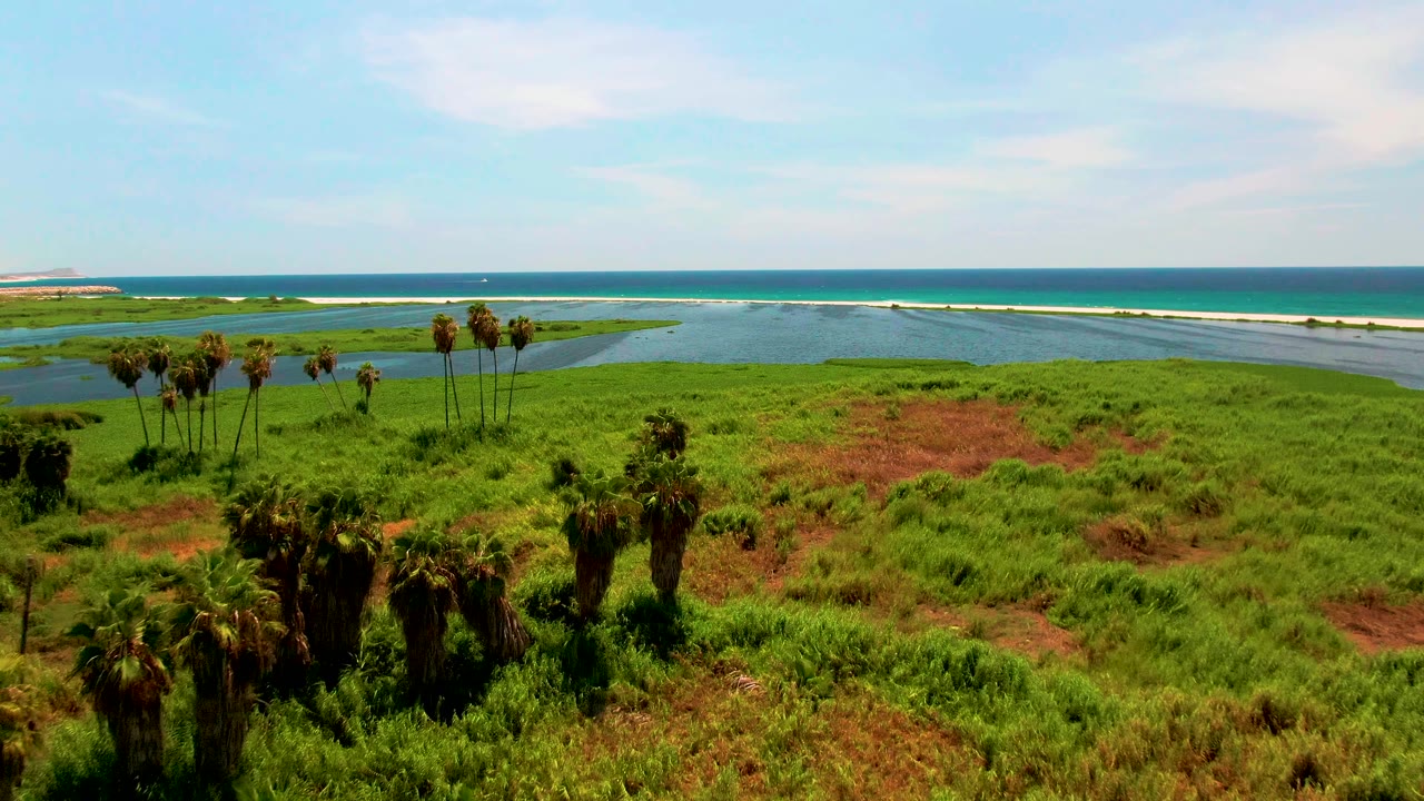 Aerial frame in San Jose Del Cabo shows scattered palms over green and reddish wetland vegetation, with lagoon water and ocean bands behind, and no visible people.