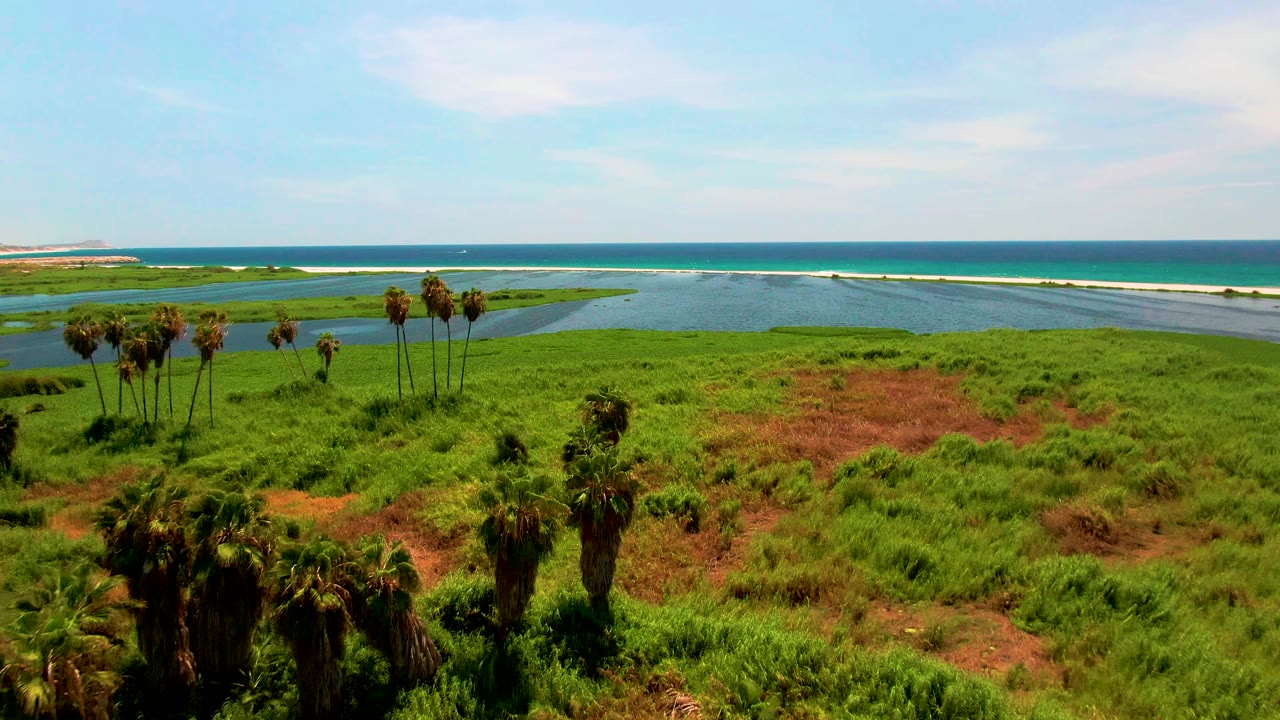 Wide aerial coastal view with palms at left, lagoon in the middle, and ocean behind.
