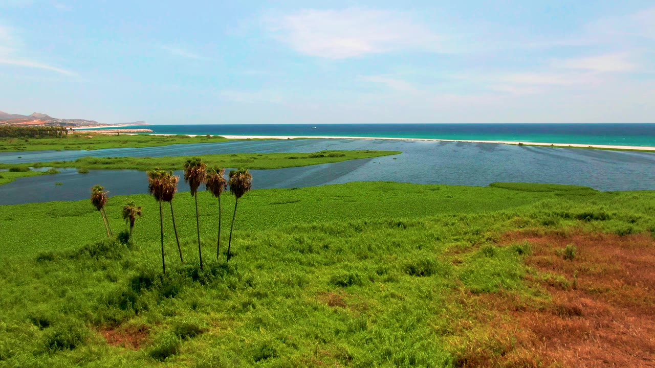 Opening aerial frame in San Jose del Cabo shows a cluster of palm trees in green wetland, lagoon water, a sandbar, blue ocean, distant land, clear sky, and no visible people.