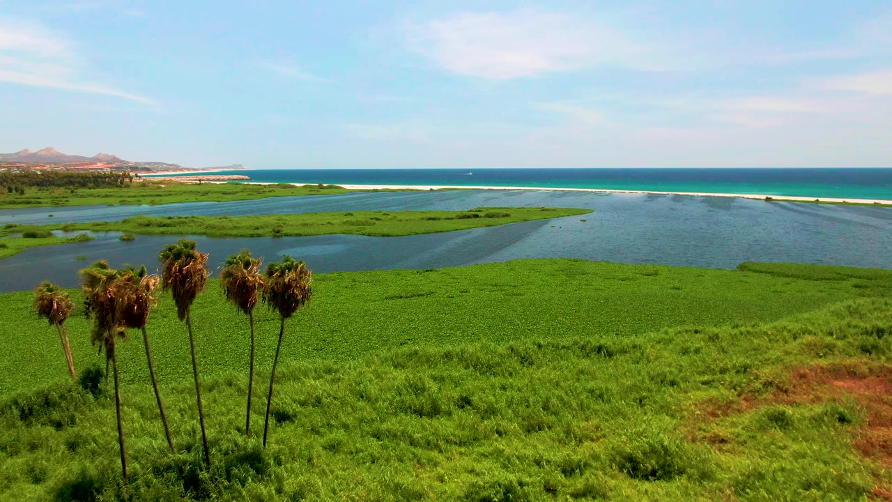 At two seconds, palm trees are lower in frame over dense green wetland, with the lagoon, narrow pale shoreline, open ocean, distant land, and clear sky visible in San Jose del Cabo and no visible people.