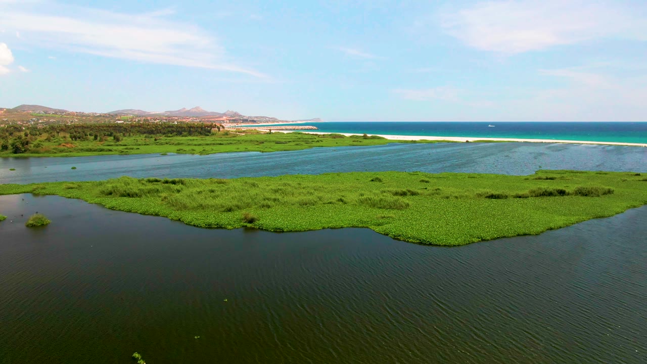 Aerial frame over a San Jose del Cabo coastal wetland with dark foreground water, bright green aquatic plants, a blue lagoon, distant ocean, low hills, and no visible people.