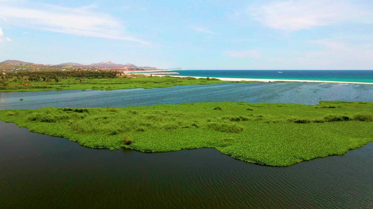 Wide aerial landscape in San Jose del Cabo with a larger field of green wetland plants, darker water below, lagoon water beyond, a thin beach line, ocean, hills, and no visible people.