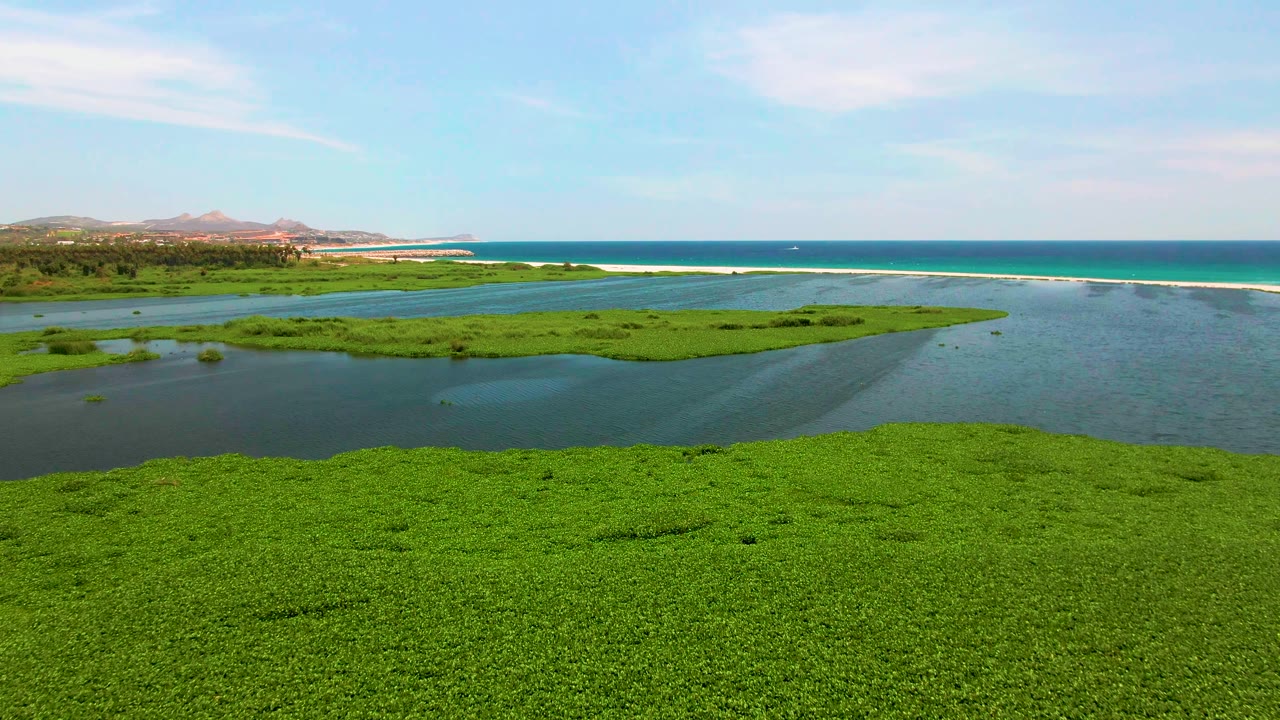 Aerial view of green wetland vegetation, lagoon water, ocean, and distant hills.