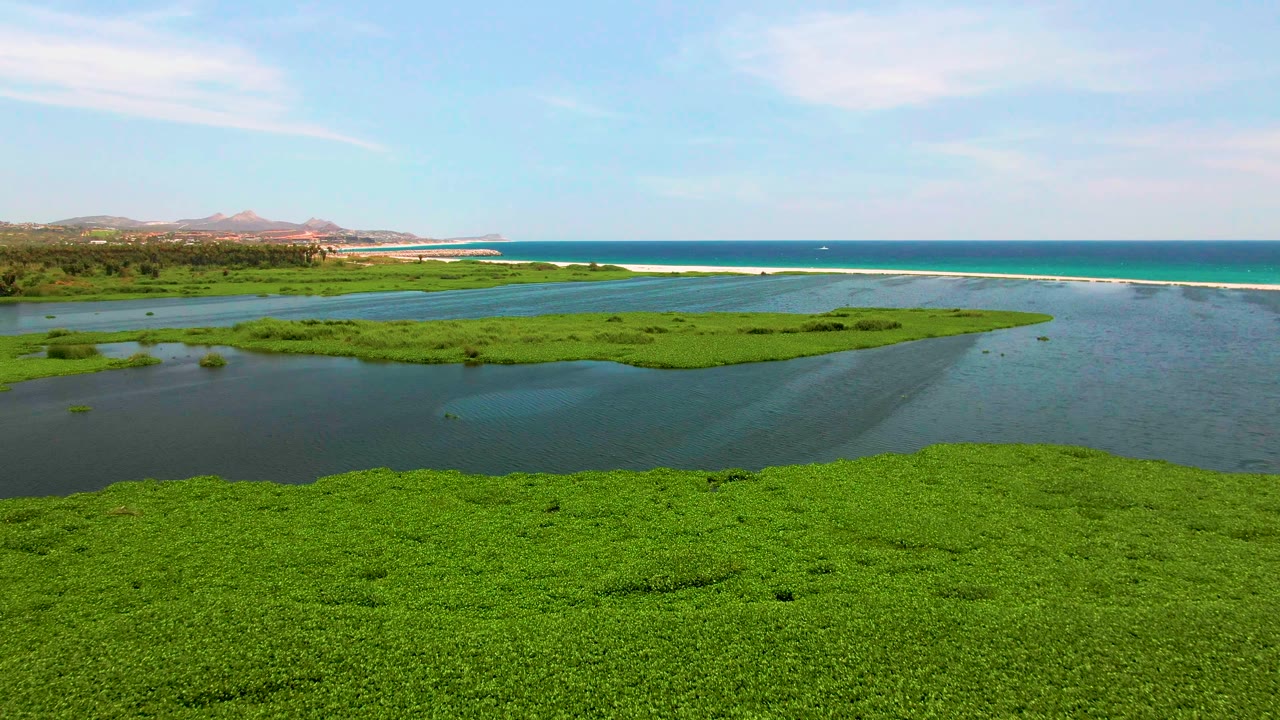 Aerial view in San Jose del Cabo showing lagoon water opening between bright wetland mats, with ocean surf and distant land beyond and no visible people.