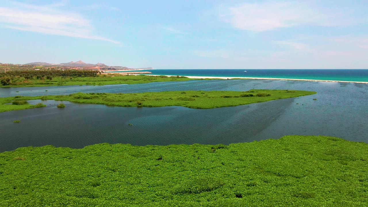 San Jose del Cabo aerial frame with green wetland patches surrounded by lagoon water, a turquoise ocean band, pale surf, distant hills, and no visible people.