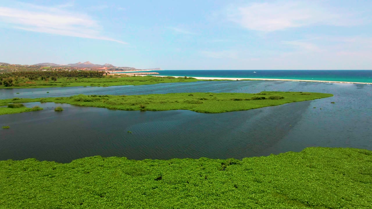 High view over San Jose del Cabo lagoon water with a broad green wetland island across the center, ocean and sandy surf line behind it, and no visible people.