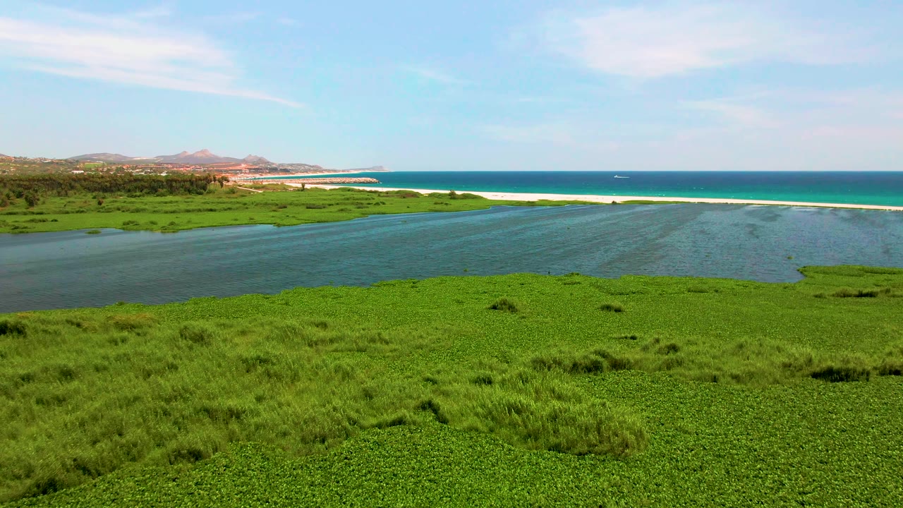 Aerial view of a green estuary in San Jose del Cabo with water leading toward a pale shoreline and blue ocean, no visible people.