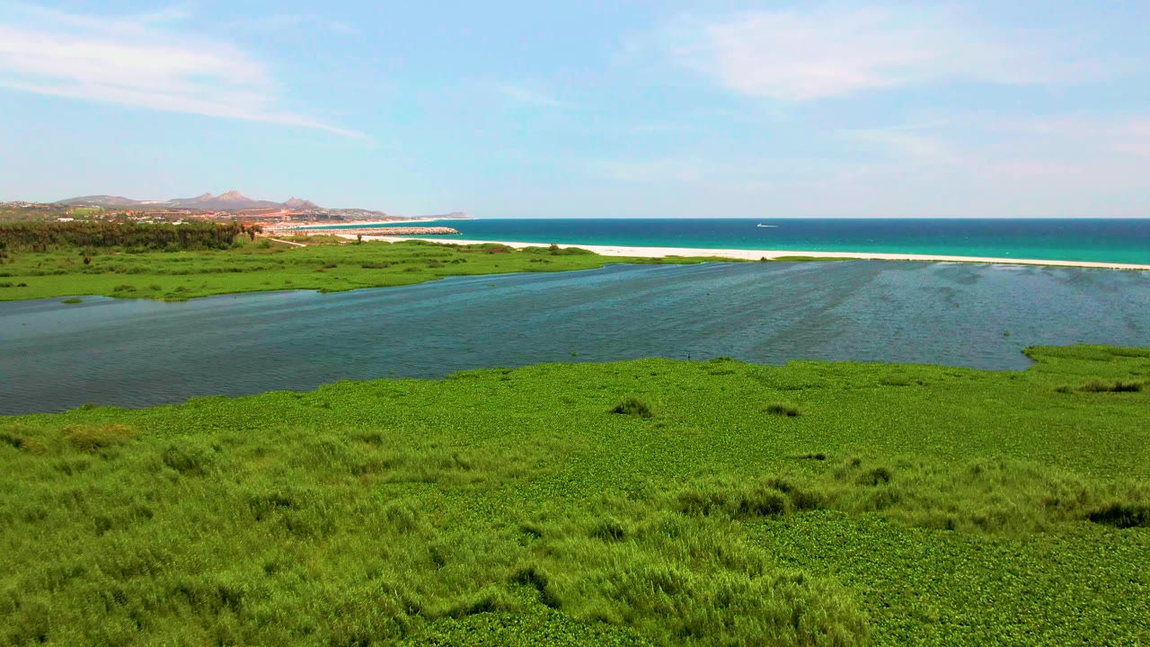Aerial frame over San Jose del Cabo wetlands showing bright green foreground growth, blue-green estuary water, and the ocean beyond the sandbar, no visible people.