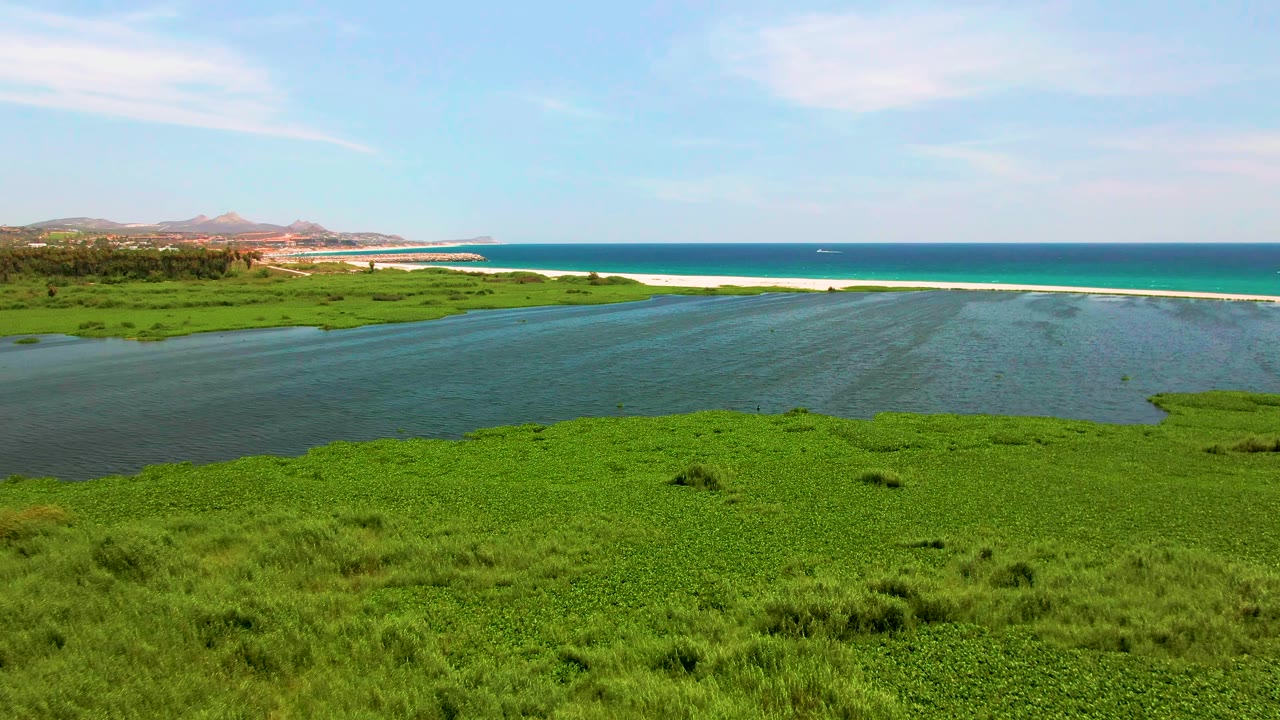 San Jose del Cabo estuary seen from above, with water cutting through dense grass toward the ocean and distant coastline under a lightly clouded sky, no visible people.