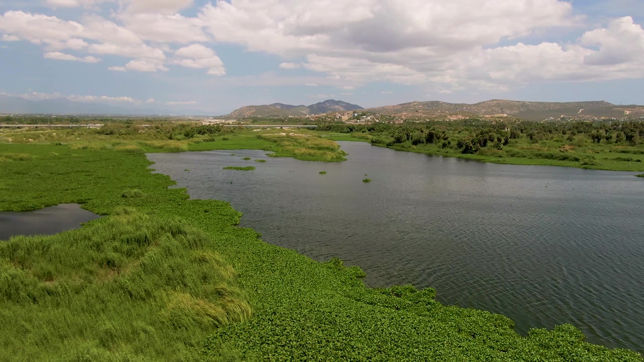 San Jose Del Cabo aerial frame with thick wetland grass in the lower foreground, a river stretching across the middle, distant hills, bright clouds, and no visible people.