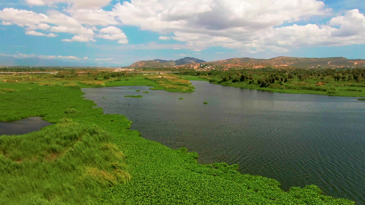 San Jose Del Cabo riverbank view with a broad patch of green marsh vegetation at left, open water at right, distant hills, cloud cover, and no visible people.
