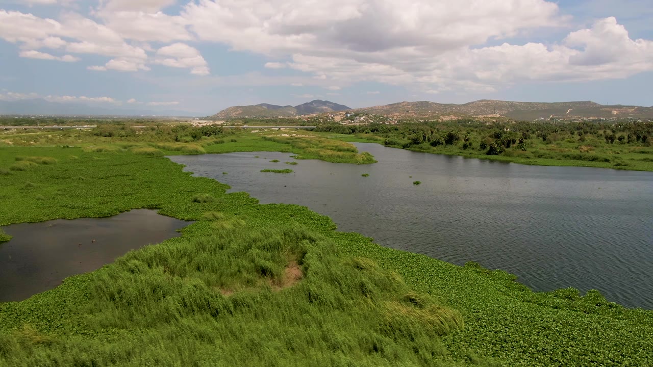 Aerial view of a San Jose del Cabo wetland with dense green reeds in the foreground, open water channels beyond, distant hills, a partly cloudy sky, and no visible people.