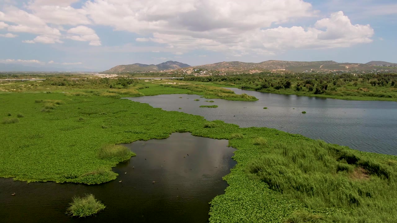 Aerial frame from San Jose del Cabo showing dense green wetland plants around dark water, distant hills, scattered clouds, and no visible people.