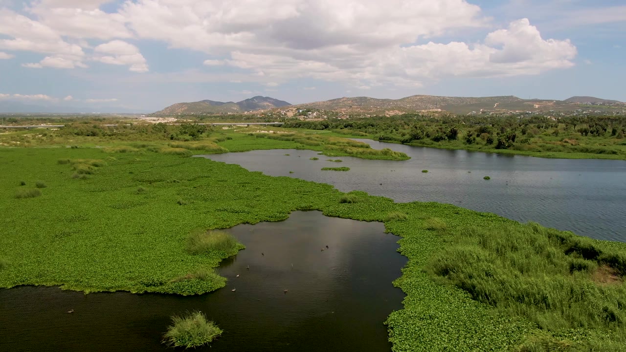 Drone view of marsh plants surrounding a winding waterway with hills beyond.