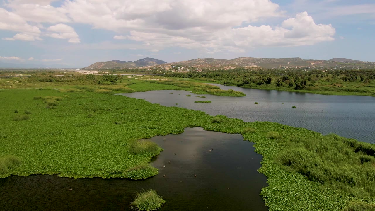 Drone frame from San Jose del Cabo looking across lush wetland mats, dark foreground water, a larger open channel, distant hills, and no visible people.