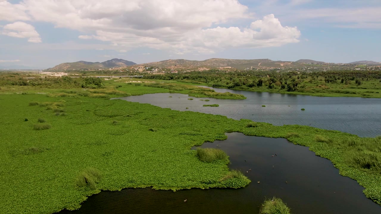 Aerial view in San Jose del Cabo, Mexico, showing dense green aquatic plants around dark river water, distant hills, clouds, and no visible people.