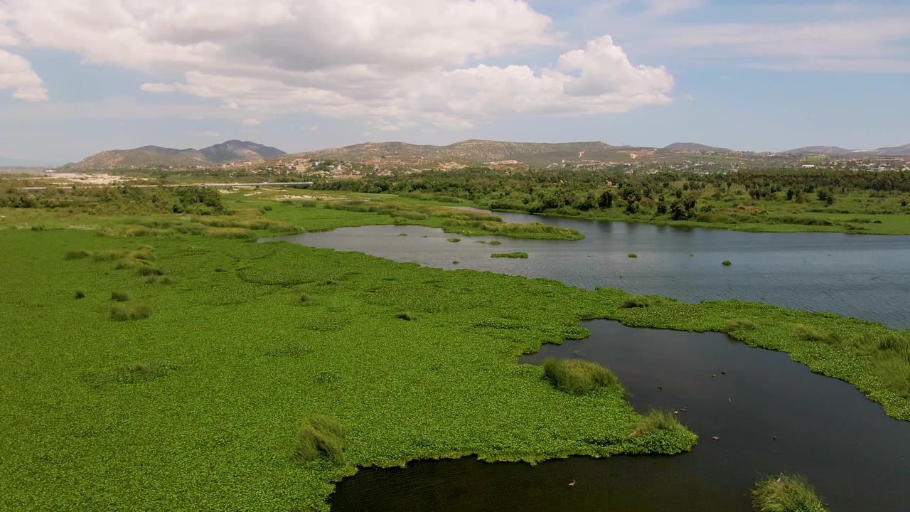 Aerial frame from San Jose del Cabo, Mexico, showing a river channel bordered by thick green aquatic vegetation, a distant tree line, hills, and no visible people.