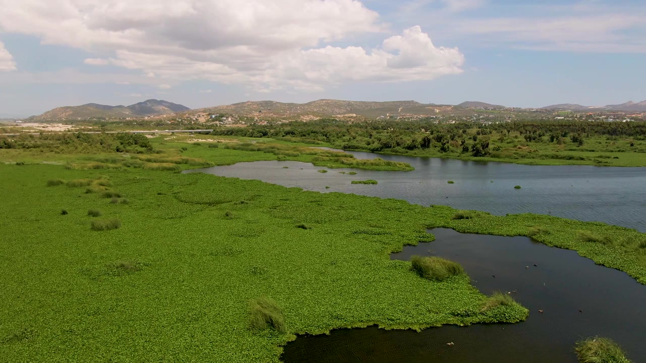 Aerial wetland view with green plants, water channels, hills, and clouds