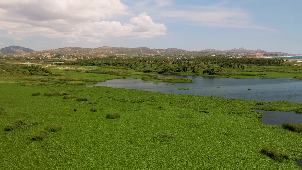 Opening aerial frame over a green wetland lagoon in San Jose del Cabo, Baja California Sur, with distant hills, a strip of ocean at right, partly cloudy sky, and no visible people.