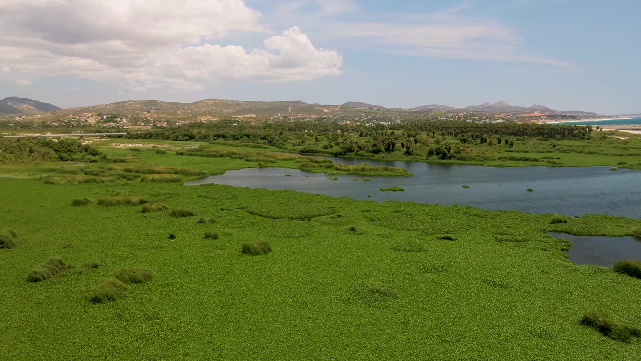 Second frame shows the San Jose del Cabo wetland from above, with dense green plants in the foreground, calm lagoon water through the center, low hills beyond, and no visible people.