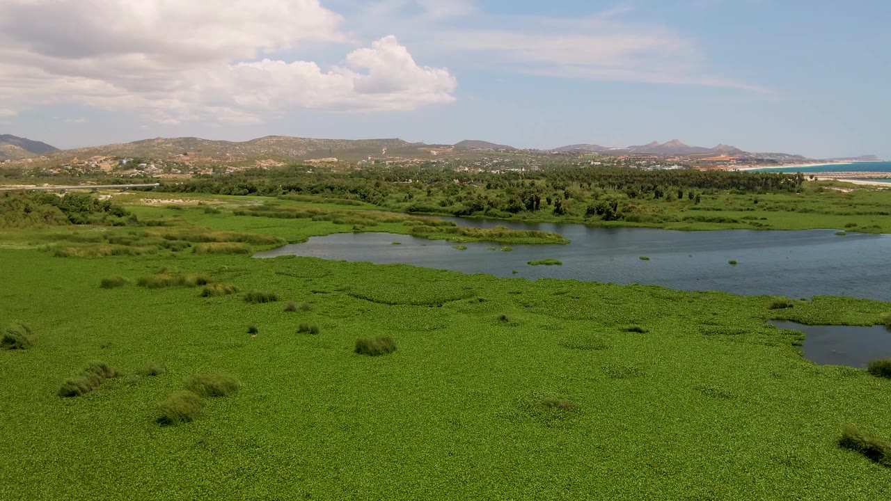 Third frame holds a high view over San Jose del Cabo wetland greenery, lagoon pools, distant hills, a visible ocean edge to the right, and a bright sky with no visible people.