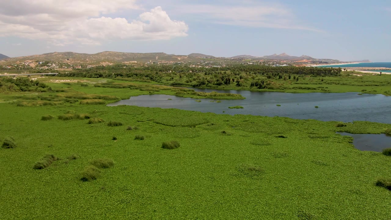 Lagoon water cuts through green wetland with hills and coastal water in the background.