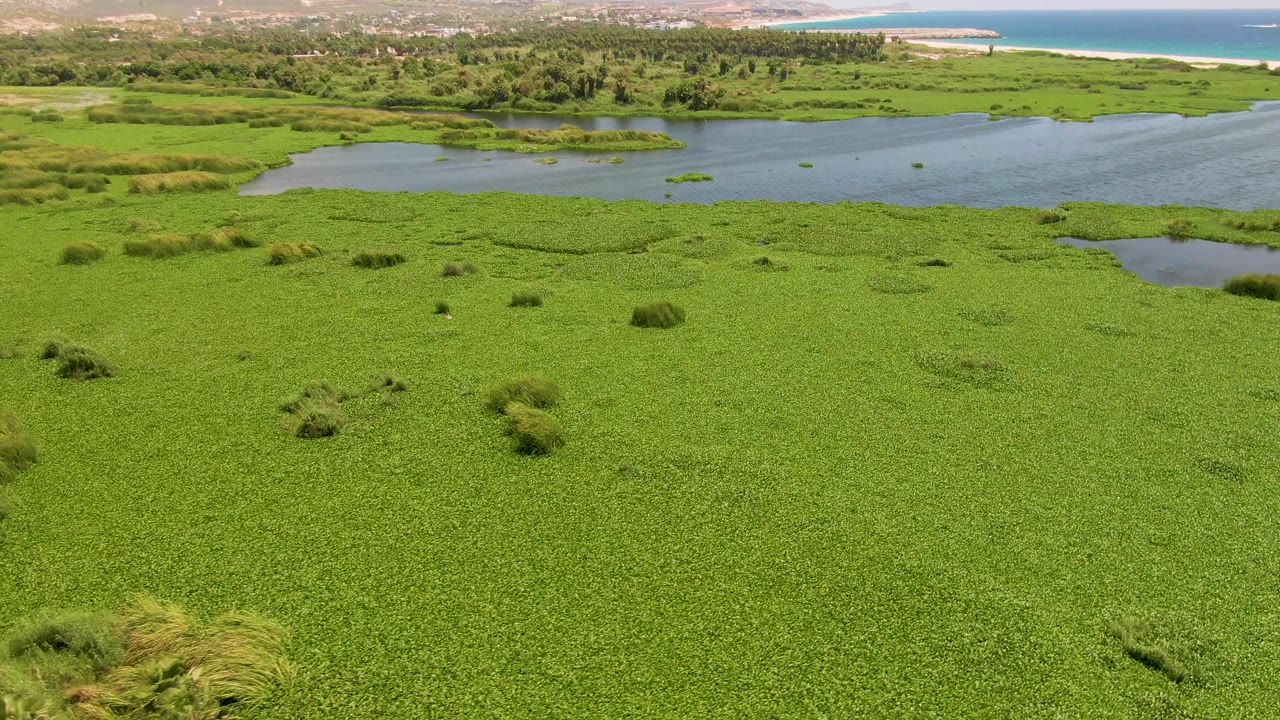 Aerial view in San Jose del Cabo with foreground marsh grasses at the lower edge, a broad water channel across the middle, coastline in the distance, and no visible people.