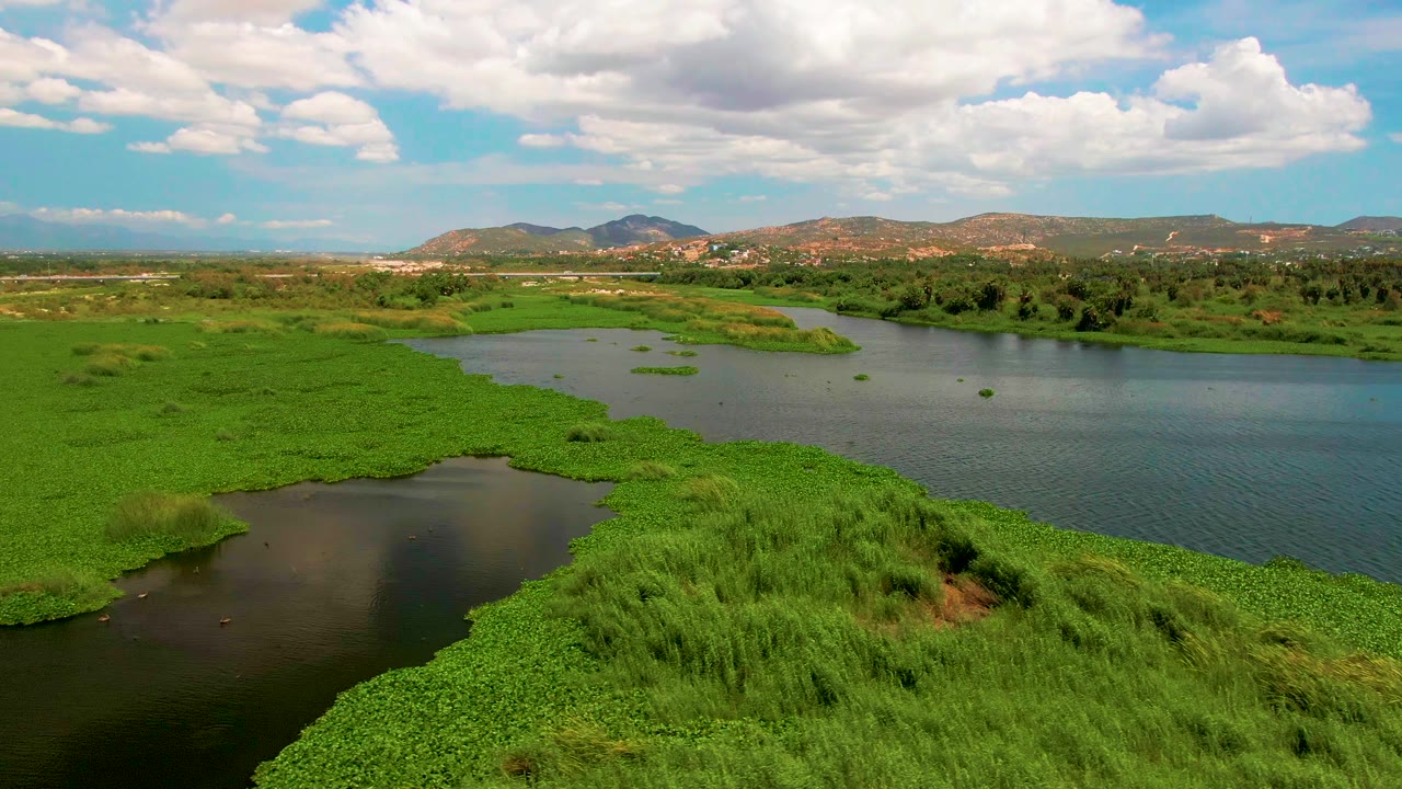 Aerial view in San Jose del Cabo with a wider patch of dark water at lower left, floating green vegetation, distant hills, cloud shadows, and no visible people.