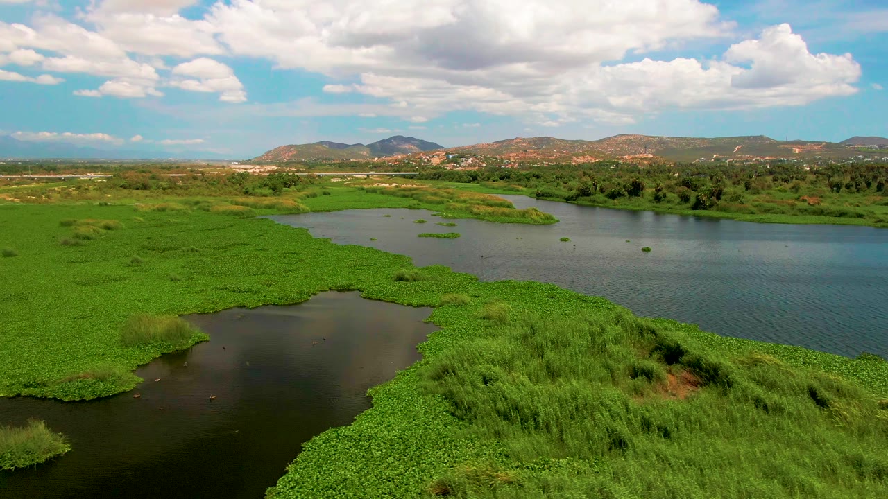 San Jose del Cabo wetland aerial with dark open water in the lower left, bright green plant cover across the center, low hills on the horizon, and no visible people.
