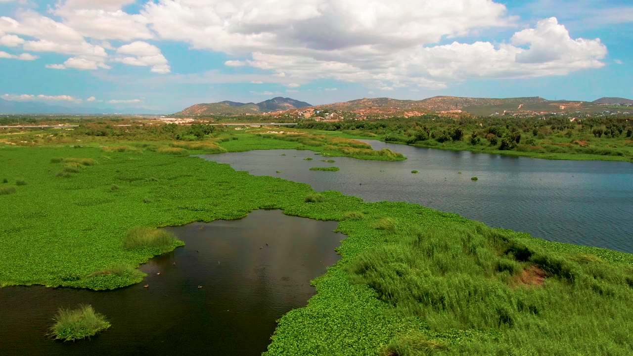 Aerial frame from San Jose del Cabo with the river channel stretching across the midground, green floating plant mats in front, distant hills, and no visible people.