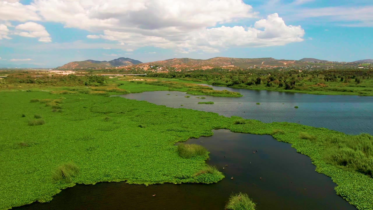 Aerial landscape with river, floating greenery, brush, and hills