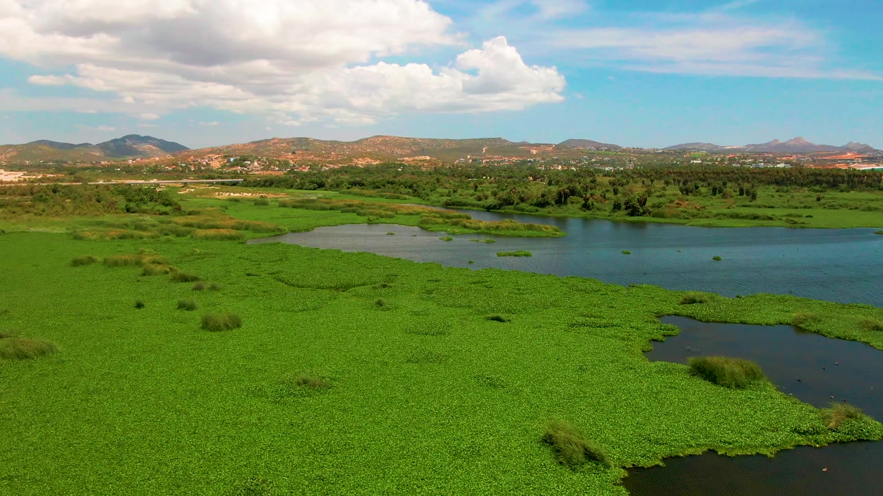 Aerial wetland landscape with floating plants, reflective water, distant hills, and sky.