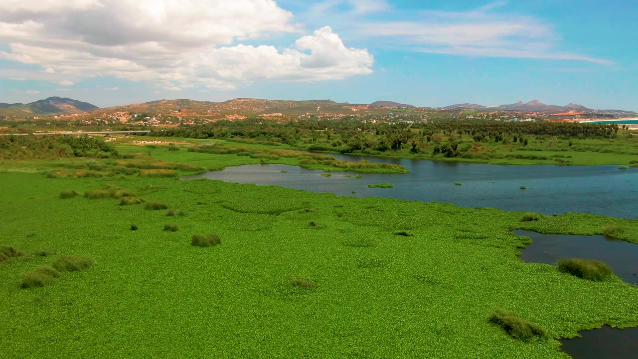 A wide aerial frame over San Jose del Cabo wetlands shows dense green aquatic plants, shallow blue water, distant hills, and a partly cloudy sky with no visible people.