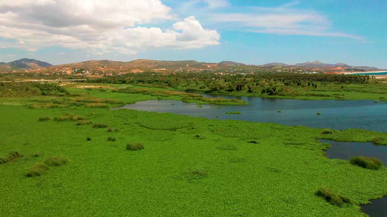 At 0:01, the San Jose del Cabo wetland remains foreground-heavy with green plant cover, small open water areas, low hills, and no visible people.
