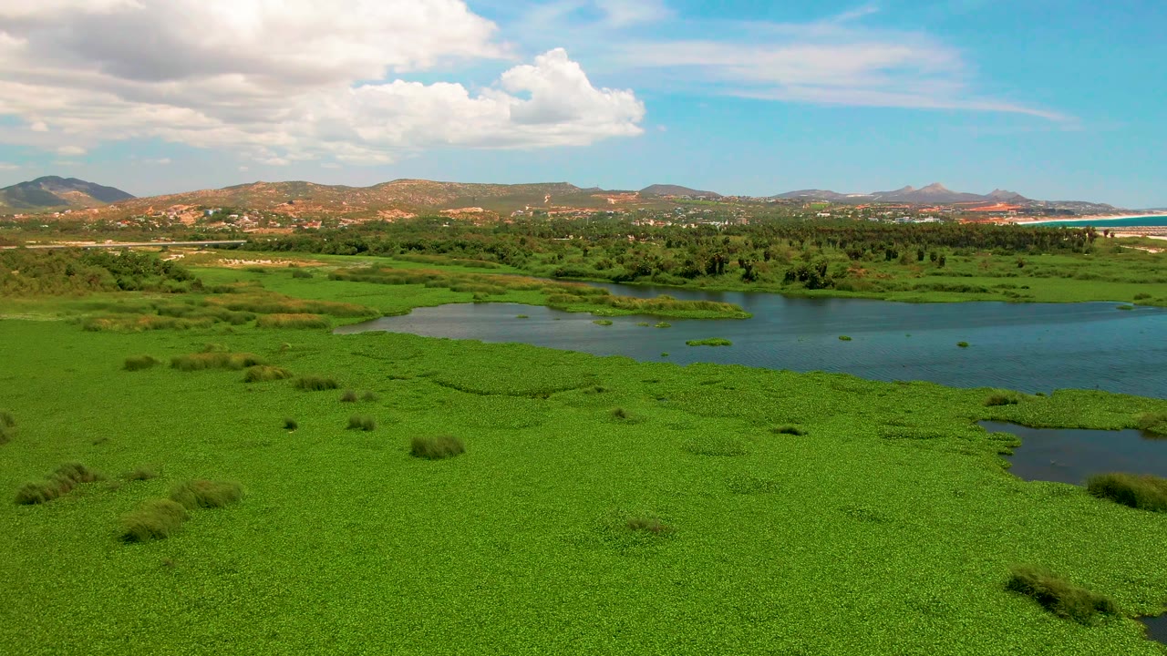 At 0:02, the aerial view shows the San Jose del Cabo wetland stretching toward hills and a strip of brighter blue coastal water on the right, with no visible people.