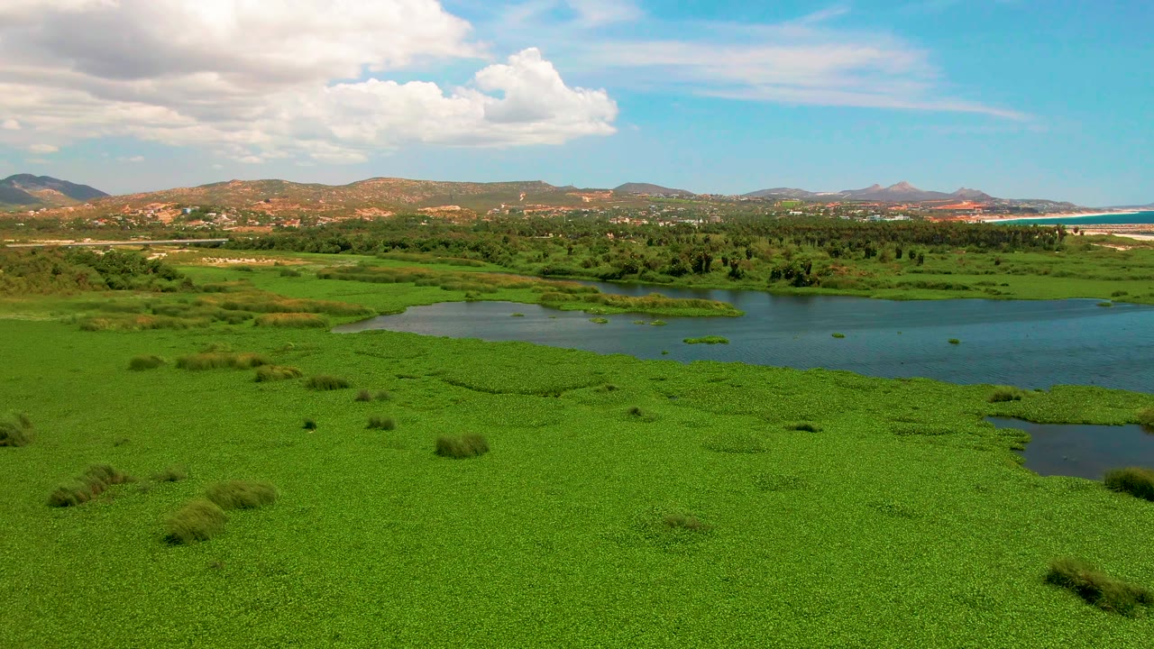 Shallow wetland pools cut through green vegetation with hills and clouds beyond.