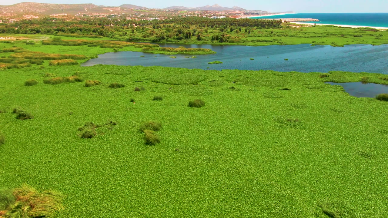 Aerial frame from San Jose del Cabo with a wide green wetland foreground, lagoon-like river water in the middle distance, ocean and beach to the right, low hills, distant buildings, and no visible people.