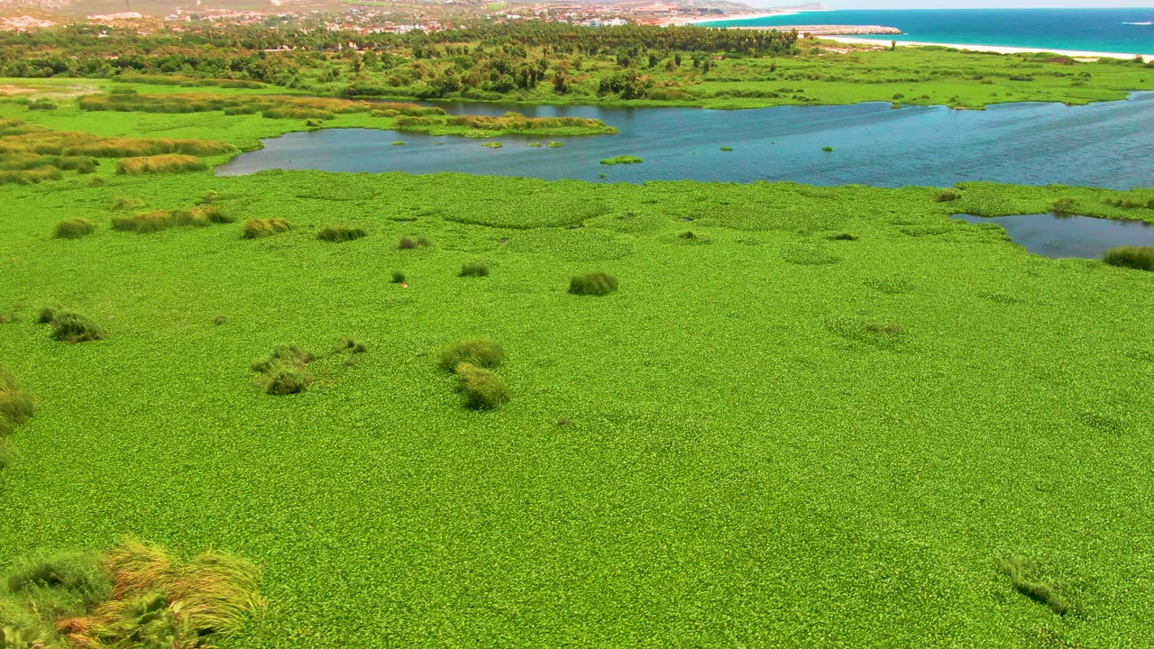 San Jose del Cabo aerial still with marsh grasses and green wetland filling the lower frame, a river channel across the midground, ocean near the top edge, hills in the background, and no visible people.