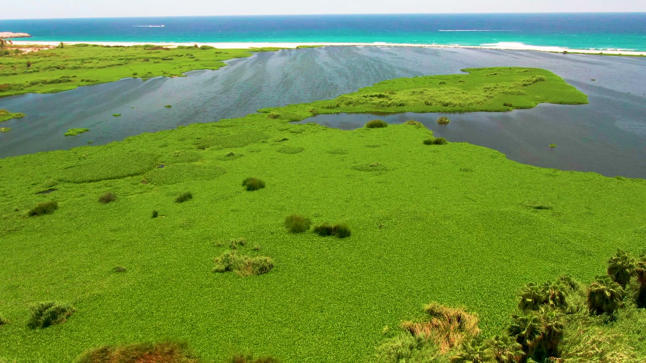 Green coastal lagoon with sandy shoreline and blue ocean beyond.