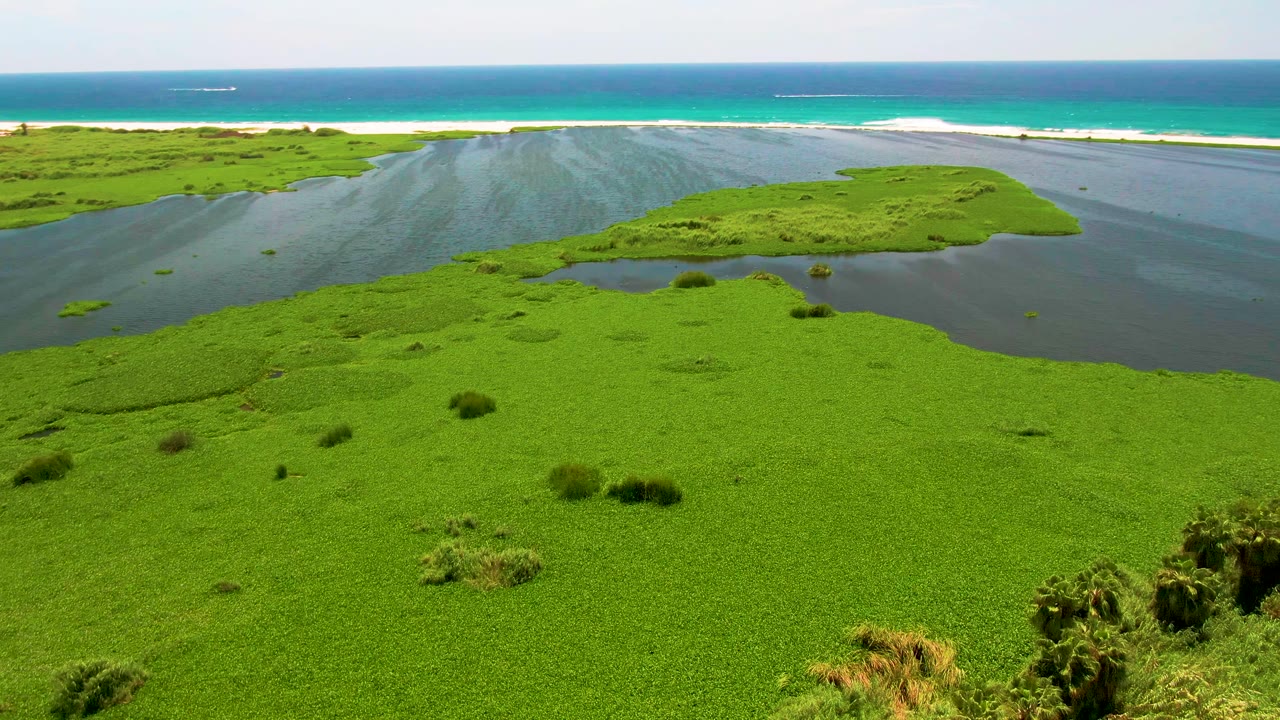 San Jose del Cabo aerial frame with bright green wetland vegetation across the foreground, lagoon water curving through the center, ocean waves on the beach, and no visible people.