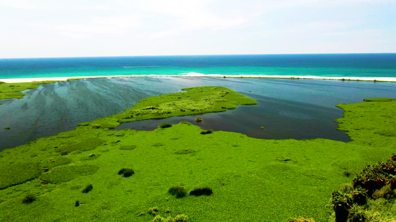 Aerial view of green wetland, lagoon, sandbar, and turquoise ocean