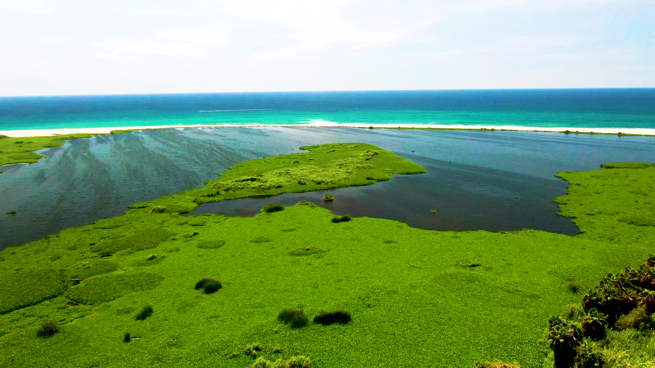 Aerial frame over San Jose del Cabo showing the marsh island slightly more centered, lagoon channels around it, pale sand between lagoon and ocean, and no visible people.