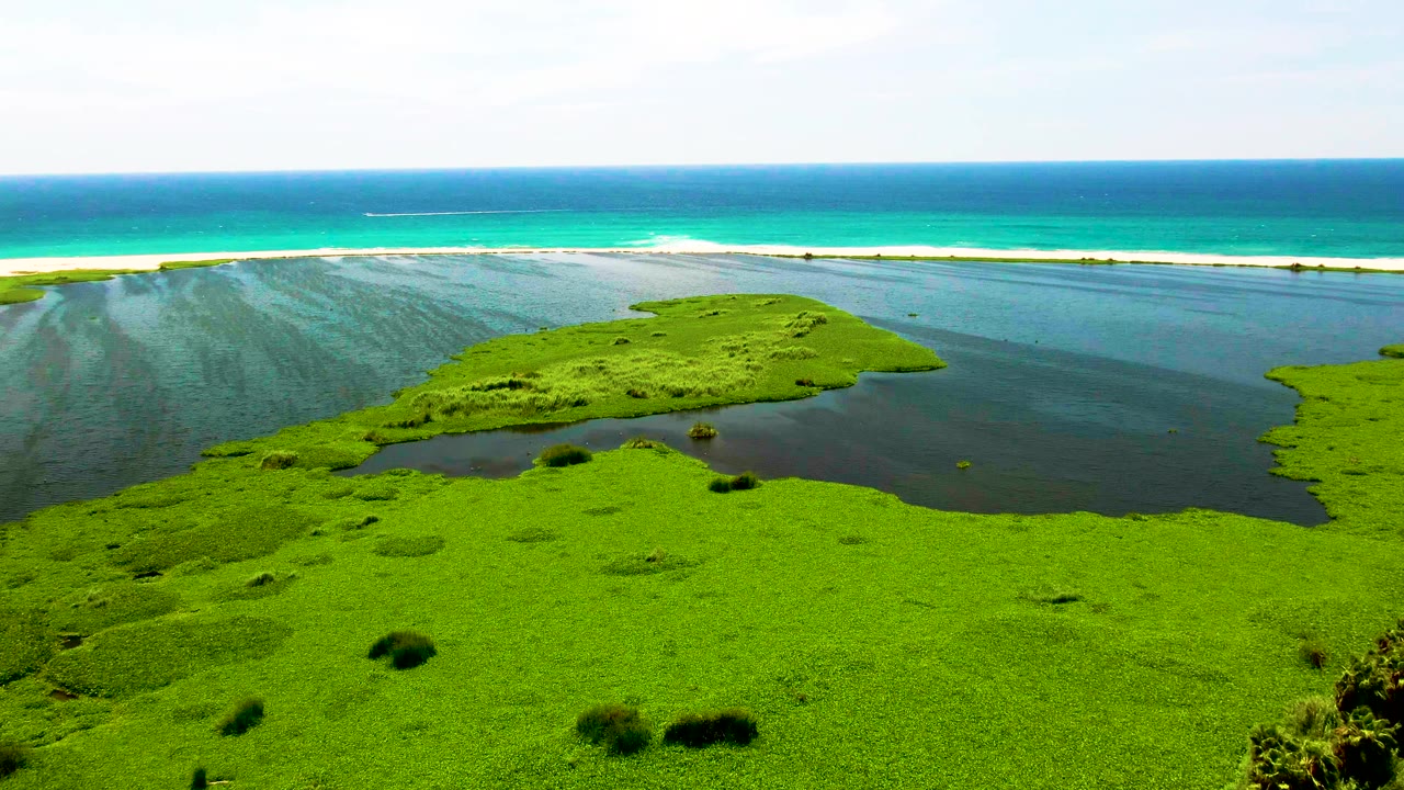 Mid-clip aerial view in San Jose del Cabo with green wetland filling the foreground, a dark lagoon bend through the middle, a narrow white sandbar, ocean waves, and no visible people.